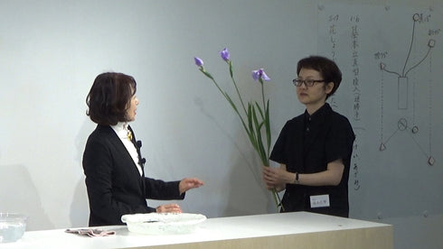 5-17 Japanese Iris, Rabbit-ear Iris by Ms.Gaho Isono