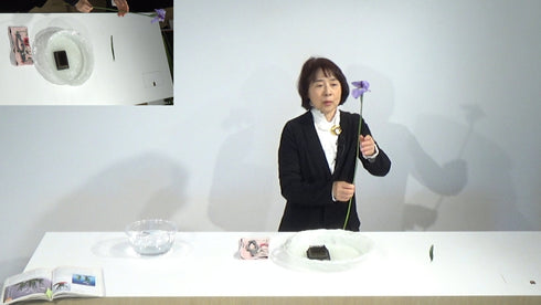 5-17 Japanese Iris, Rabbit-ear Iris by Ms.Gaho Isono