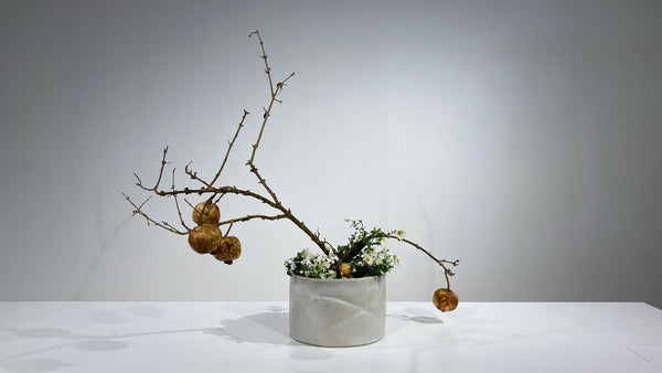 4-7 Fruiting Plant Materials by Ms.Kazuko Nakada