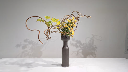 3-8 Colors in the Same Tonal Range by Ms. Kumiko Kato