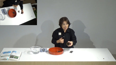 2-14 Variation No.6 Horizontal Style Moribana by Ms.Kumiko Kato