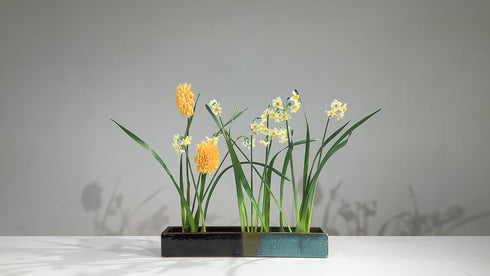 3-18 Showing Lines at Base by Ms.Kumiko Kato