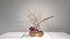 5-25 Practicing for a Future Ikebana Exhibition by Ms.Koei Sawada