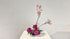 1-3 Basic Upright Style Moribana (in Reverse) by Ms.Ku Koei Sawada