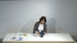 4-8 Simplified Arrangement by Ms.Kumiko Kato - with English subtitles