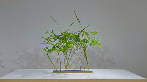 5-4 Green Plant Materials by Mr.Sozan Nakamura