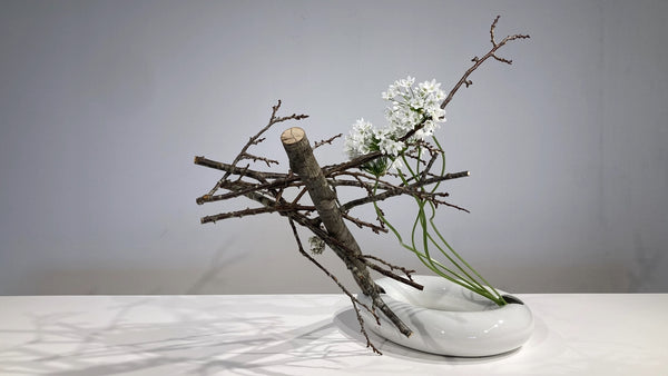 5-14 木の構成とその展開 片山健