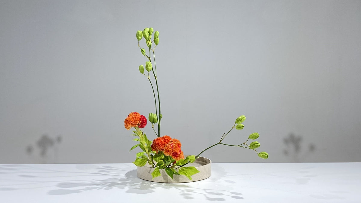 1-16 第二応用立真型・盛花 澤田晃映 – anytime SOGETSU