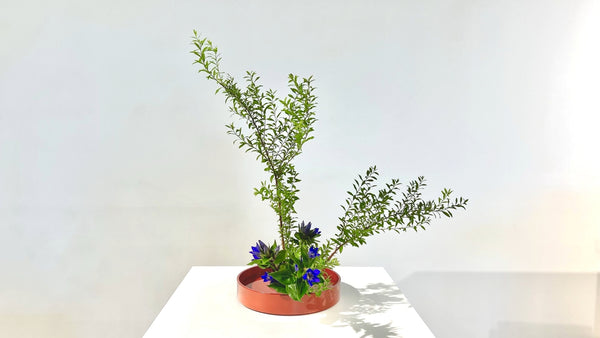 2-1 第三応用立真型・盛花 五十野雅峰