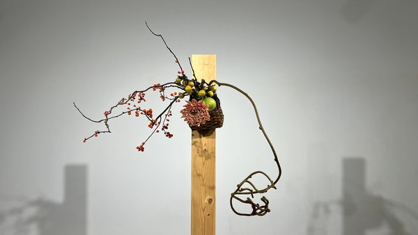 Special 5-16 掛け花・吊り花 福島光加