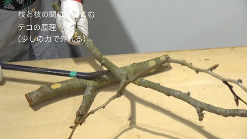 The road to becoming a flower expert: One-point technique “nail driving edition" by Ms.Hiromi Sugioka