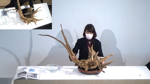 1-20 2-20 Special Materials and Arrangements for Festive Occasions (New Year flowers) 1 by Ms.Gaho Isono