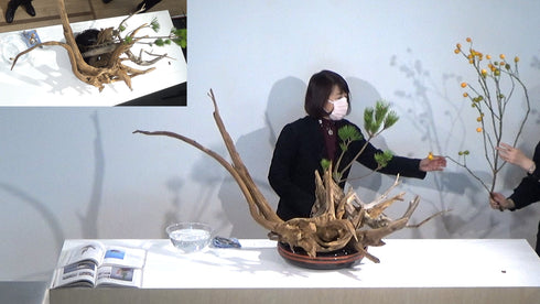 1-20 2-20 Special Materials and Arrangements for Festive Occasions (New Year flowers) 1 by Ms.Gaho Isono