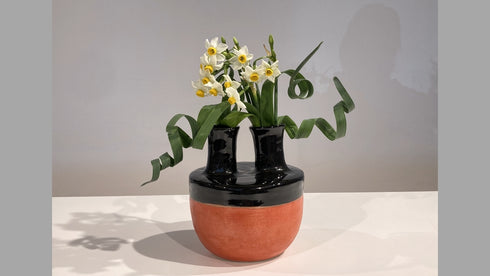 5-6 Japanese Narcissus (Narcissus tazzetta var.chinensis) by Ms.Gaho Isono