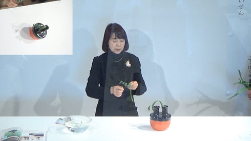 5-6 Japanese Narcissus (Narcissus tazzetta var.chinensis) by Ms.Gaho Isono