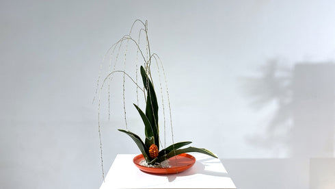 1-20 2-20 Special Materials and Arrangements for Festive Occasions (New Year flowers) 3 by Ms.Gaho Isono