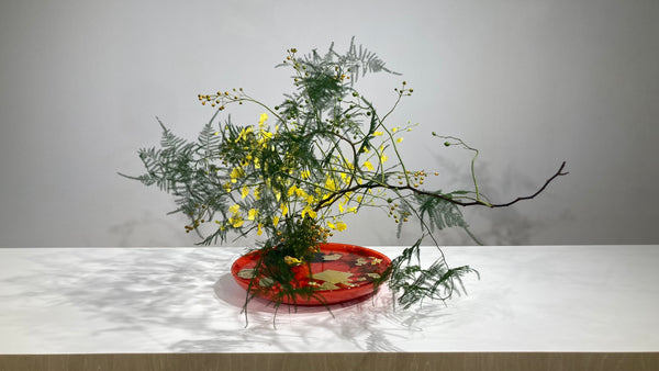 4-19 Specific Scenes, Occasions or Spaces by Ms.Kumiko Kato