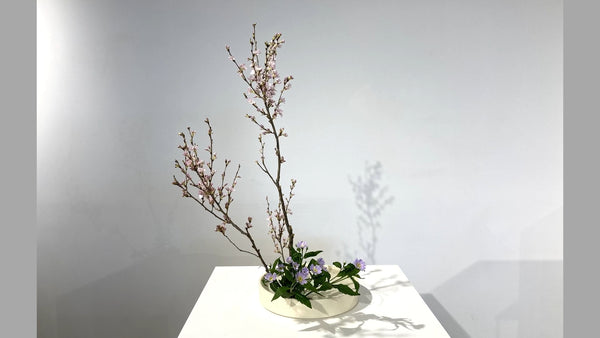 1-1基本立真型・盛花 澤田晃映