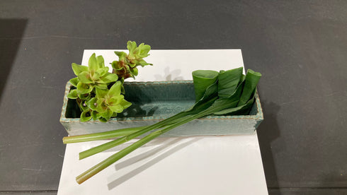 4-15 Keeping in Mind the View from Above by Ms.Seishu Okamoto