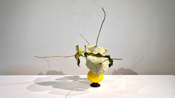 4-13 Dried, Bleached, or Colored Materials by Ms.Koei Sawada