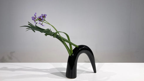 5-6 Japanese Narcissus (Narcissus tazzetta var.chinensis)  by Ms.Gaho Isono