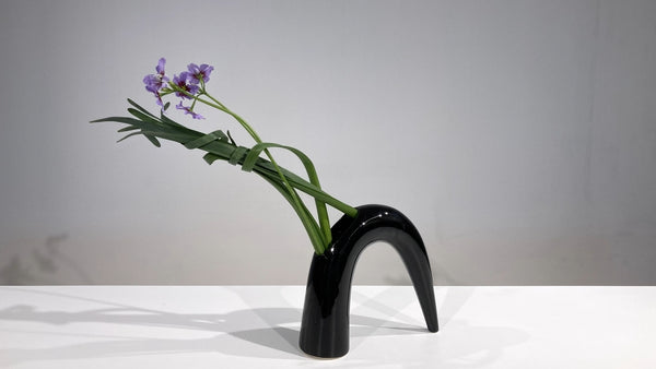 5-6 Japanese Narcissus (Narcissus tazzetta var.chinensis)  by Ms.Gaho Isono