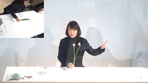 5-6 Japanese Narcissus (Narcissus tazzetta var.chinensis)  by Ms.Gaho Isono