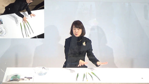 5-6 Japanese Narcissus (Narcissus tazzetta var.chinensis)  by Ms.Gaho Isono