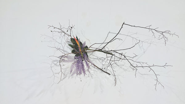 4-17 Arrangement with Plants on a Wall by Ms.Gaho Isono