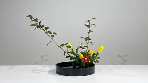 2-13 Variation No.6 Slanting Style Moribana by Ms.Gaho Isono
