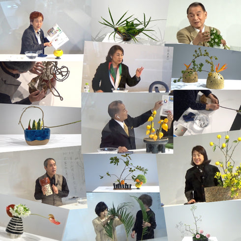 Subscription Plan Basic