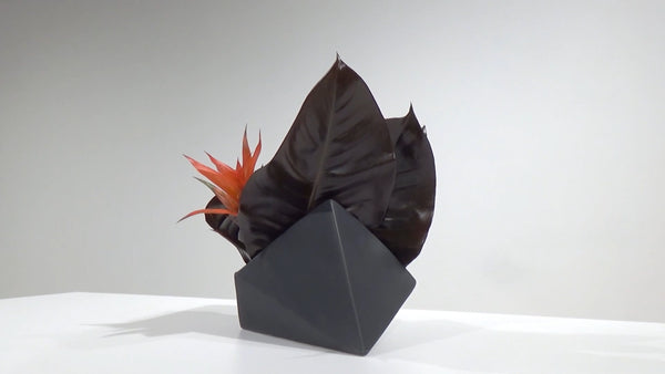 3-14 Composition of Surfaces by Using Leaves by Ms.Gaho Isono