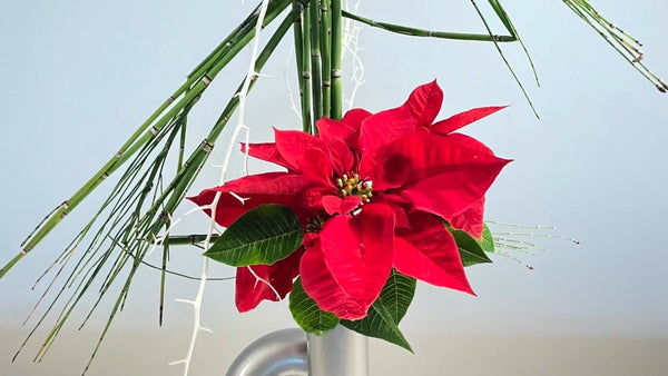 3-9 Colors in Contrast by Mr.Ken Katayama