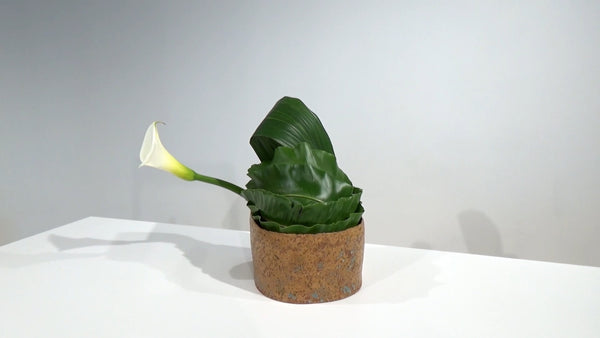 3-14 Composition of Surfaces by Using Leaves by Ms.Gaho Isono