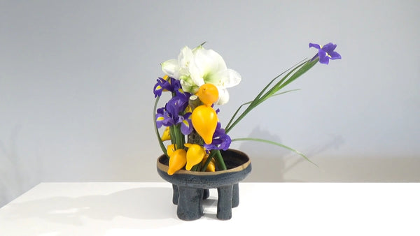 3-9 Colors in Contrast by Mr.Ken Katayama