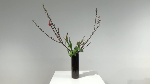 2-4 第三応用傾真型・投入 片山健