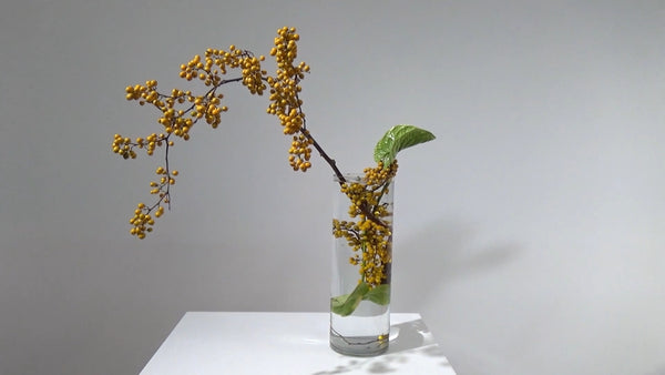 4-6 つるもの 片山健