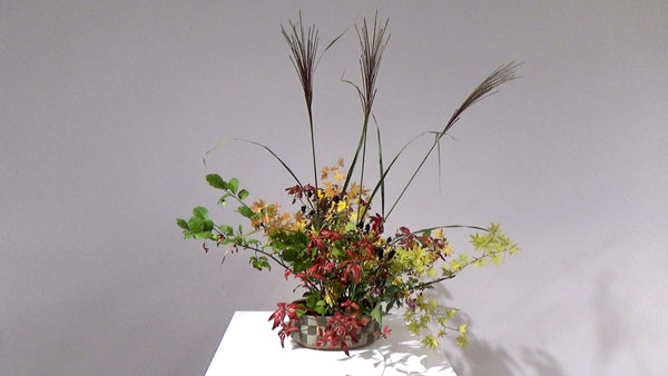 4-5 まぜざし 中村草山