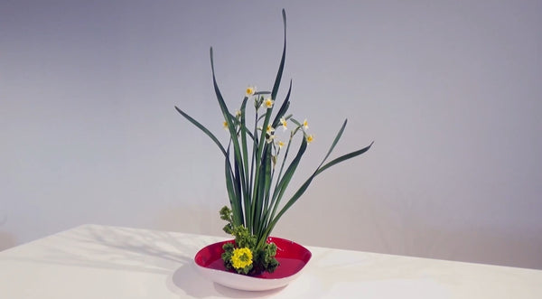 5-6 すいせん 五十野雅峰