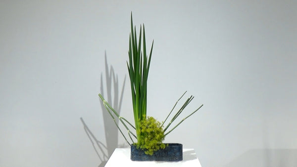 3-20 Sketching and Arranging by Mr.Ken Katayama