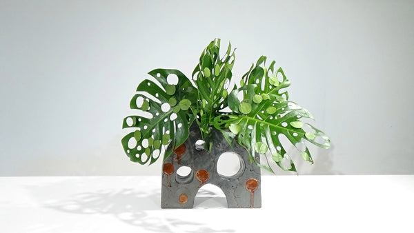 4-4 一種いけ 中村草山