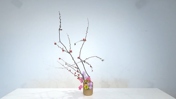 勅使河原茜家元 special デモンストレーション② 自由花