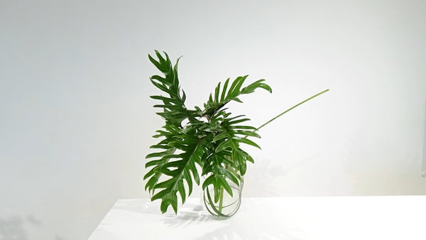 4-2 With Leaves Only by Ms.Kumiko Kato