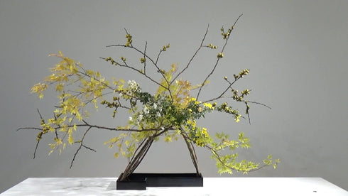 Special 5-8 Improving Your Technique “In a Suiban without Kenzan” by Mr.Sozan Nakamura