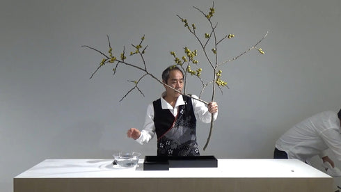 Special 5-8 Improving Your Technique “In a Suiban without Kenzan” by Mr.Sozan Nakamura