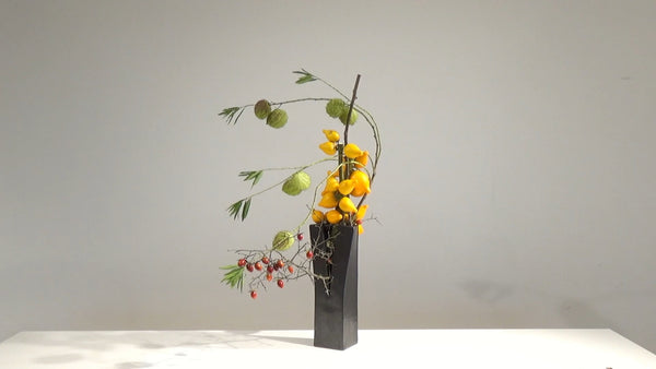 Special 4-7 実もの 片山健