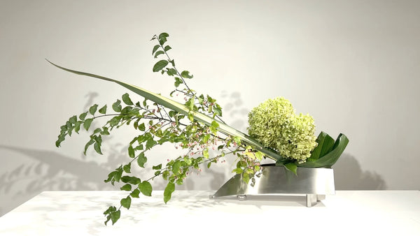 Special 自由花 福島光加 1