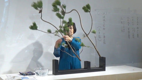1-20 2-20 Special Materials and Arrangements for Festive Occasions (New Year flowers) 7 by Ms.Misei Ishikawa