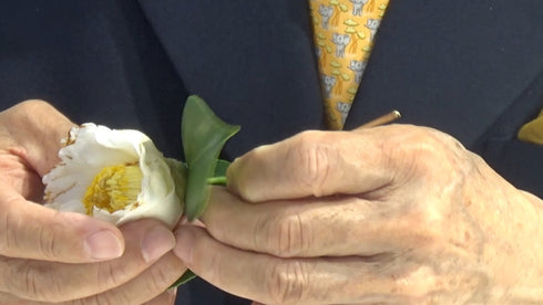 Special 5-26~29 Free Style Arranging (camellia and daffodil) by Mr.Ken Katayama