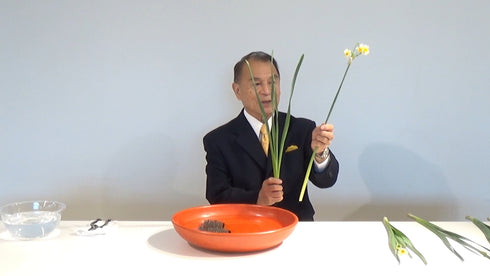 Special 5-26~29 Free Style Arranging (camellia and daffodil) by Mr.Ken Katayama